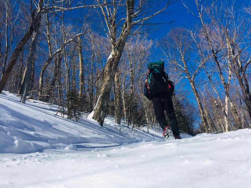 Winter hiking: Magical or miserable? - Harvard Health