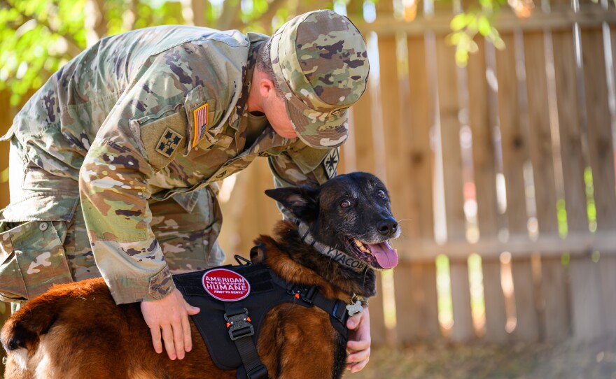 After two years, a San Antonio soldier is reunited with his military dog | TPR