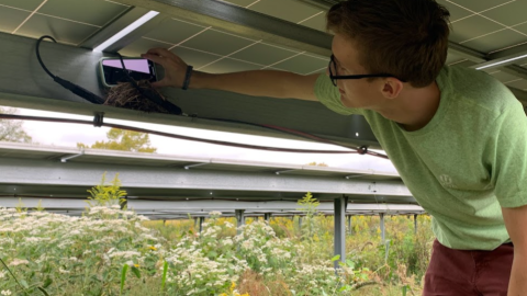 A University of Dayton professor and students observed over 60 birds nests found on solar panel arrays.
