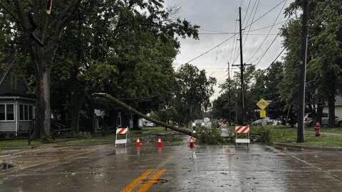 An upended tree blocking an intersection with street barricades and orange cones surrounding it