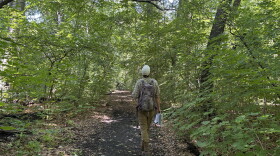 Southeast Wisconsin Regional Planning Commission biologist Zach Kron walking Seminary Woods. 