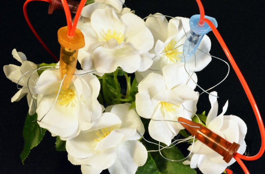 Jonathon Keats' piece "Sex Toys for Flowers." (Courtesy)