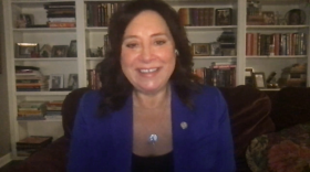 Rep, Anglela Witwer (D) appearing on Off the Record with Tim Skubick.