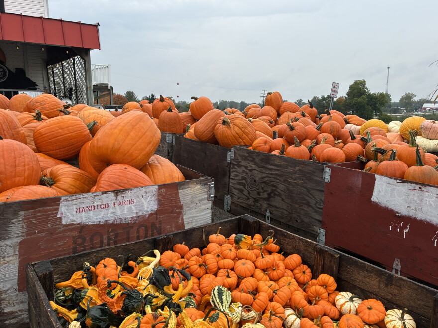 Uncle Johnson's Cider Mill's pumpkin harvest for sale