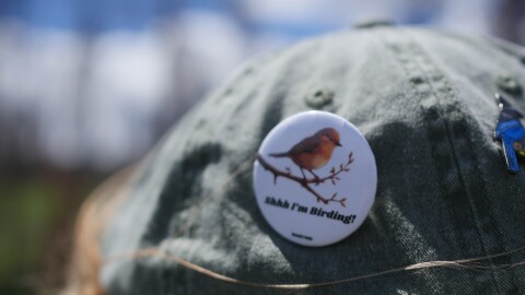 A white pin is clipped into a baseball hat. It reads, “Shhh I’m Birding!” and has a cute bird sitting on a tree branch on it.