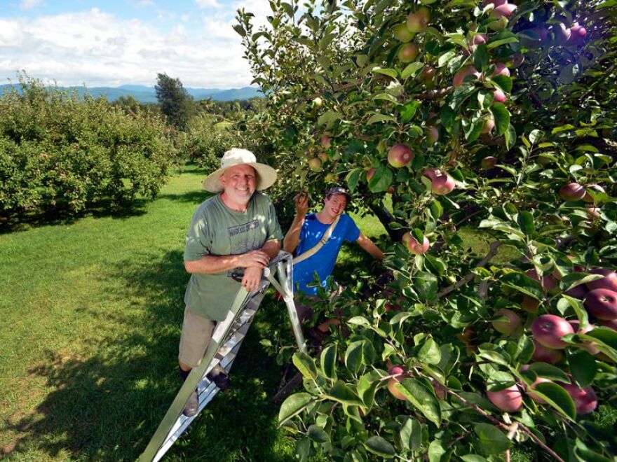 VPR Cafe Heirloom Apples Vermont Public