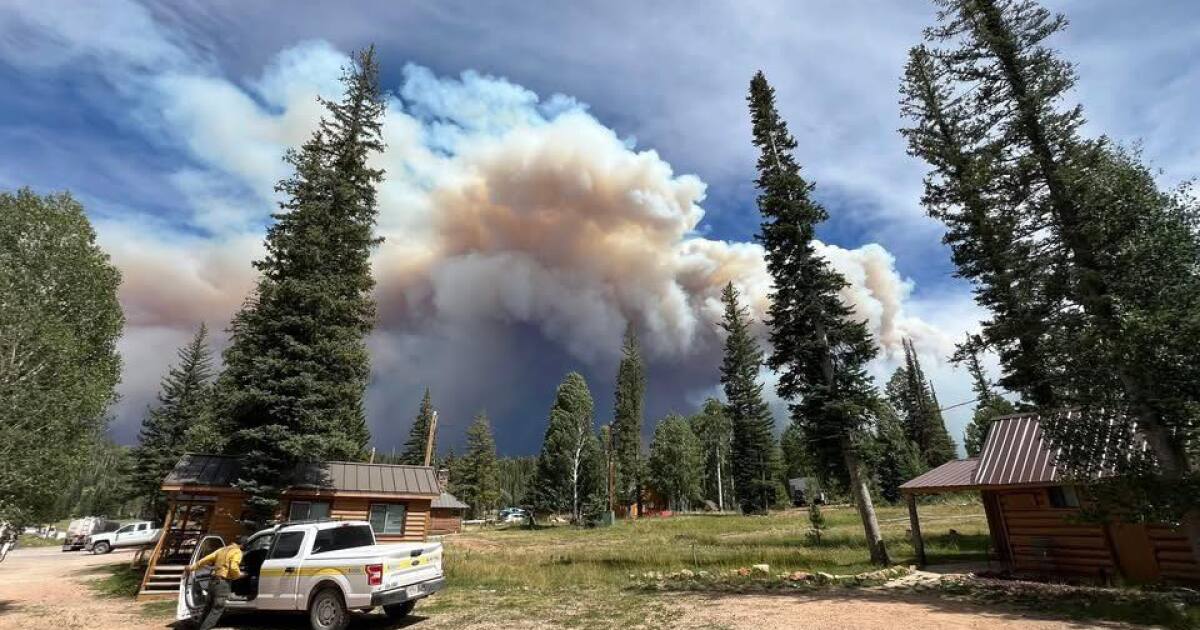 Western leaders demand probes into wildfire mitigation cuts