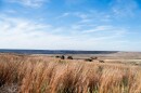 A view of Lake Palo Duro in Hansford County. The U.S. Geological Survey recorded a 5.0 magnitude earthquake near Spearman, the county seat.