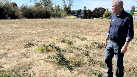 A middle aged man wearing jeans and a dark blue button down is standing in a dry grass field, gazing off to the left. 
