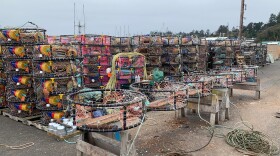 Work areas at the Port of Newport are filled with crab pots being prepared for the 2025-26 season.