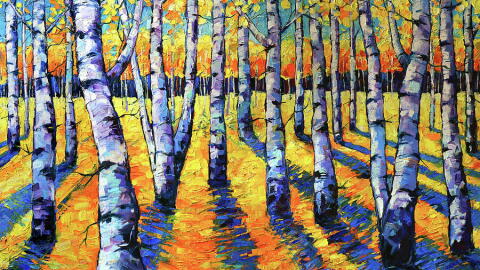 A forest of aspen trees with golden leaves  representing the shift to autumn.