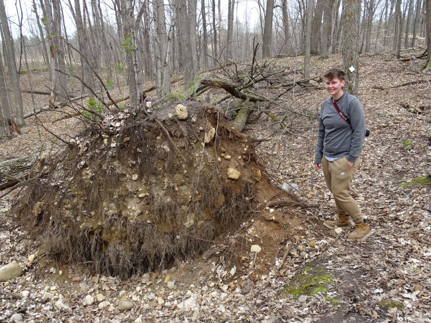 The spot where student Morgan Schmanski unexpectedly came across the four-toed salamander.