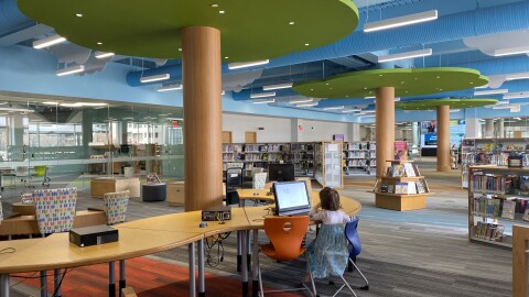 The children's section of the Advanced Learning Library isn't just for kids. Grown-up readers can rediscover reading magic and gain a new perspective by checking out picture, middle-grade or young-adult books.