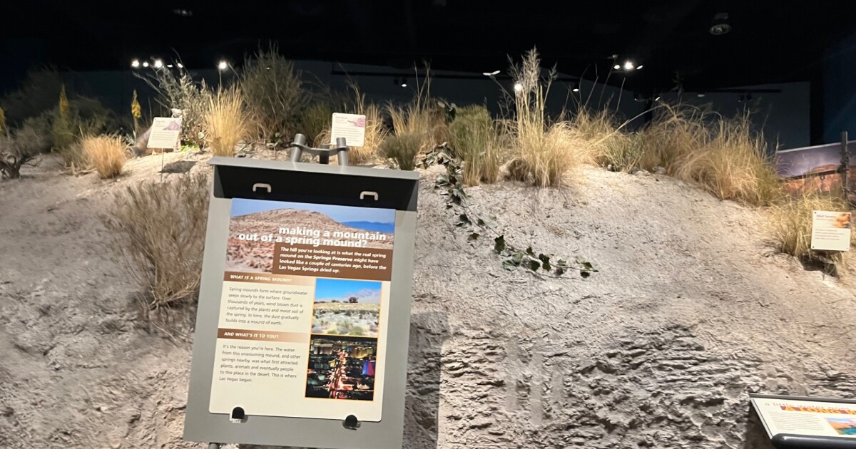 Exploring Spring Mounds: Unique Arid Wetlands and Cultural Sites