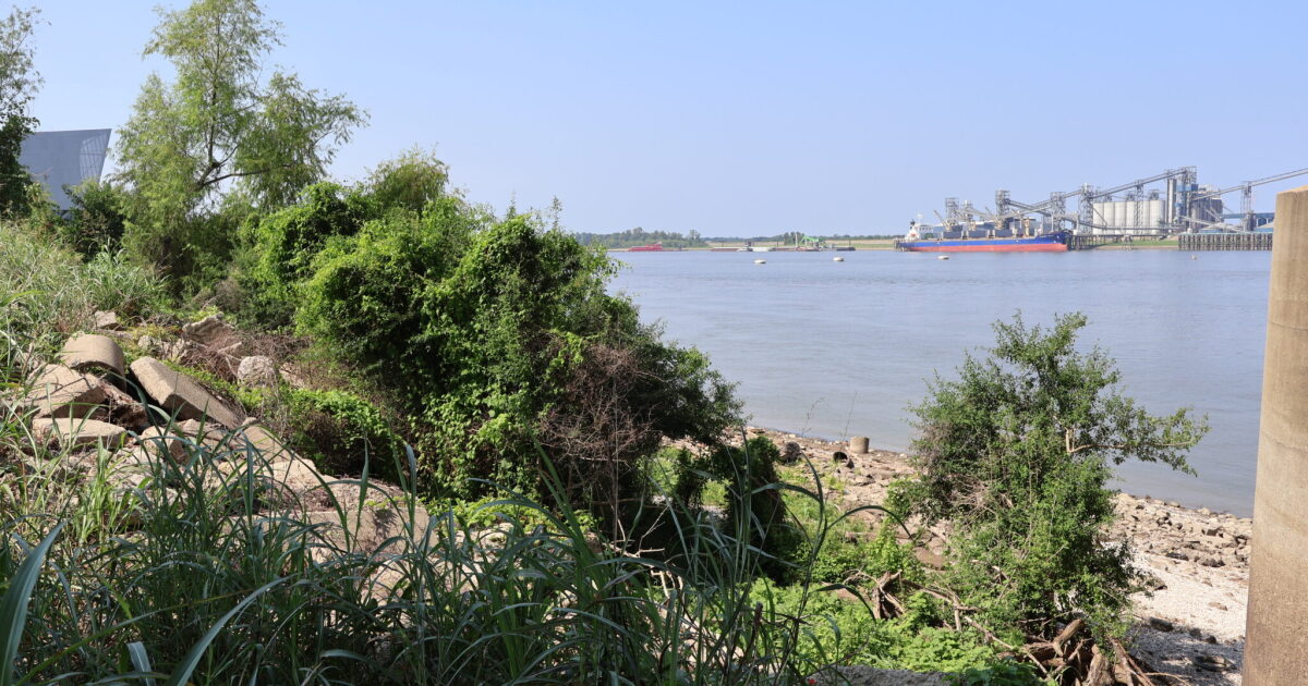 High levels on Mississippi River trigger levee inspections in New