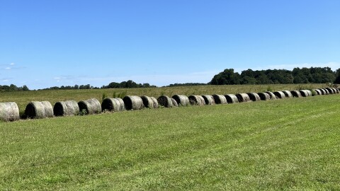 Bales of hay in a field.