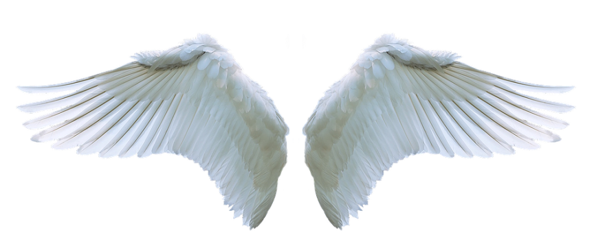 Angel wings