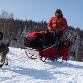Jessie Holmes travels through the Grayling checkpoint during the 2023 Iditarod sled dog race.