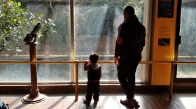 Hashmatulla Rasooly and his 2-year-old son take in the sights and sounds of the National Zoo a few weeks after arriving in the United States. The Rasoolys left Afghanistan after it became unsafe for the family because of Hashmatulla's work as an interpreter with U.S. forces. (Carmel Delshad / WAMU)