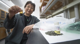 Before the polyolefin plastics can get dissolved in the supercritical water, they're first turned into pellets like the ones in the bottle Linda Wang is holding.