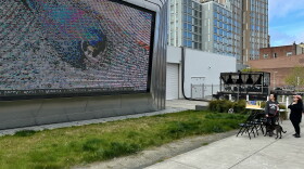 Annie the peregrine falcon broadcast live on the Berkeley Art Museum and Pacific Film Archive's outdoor screen