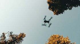 A drone flies between trees