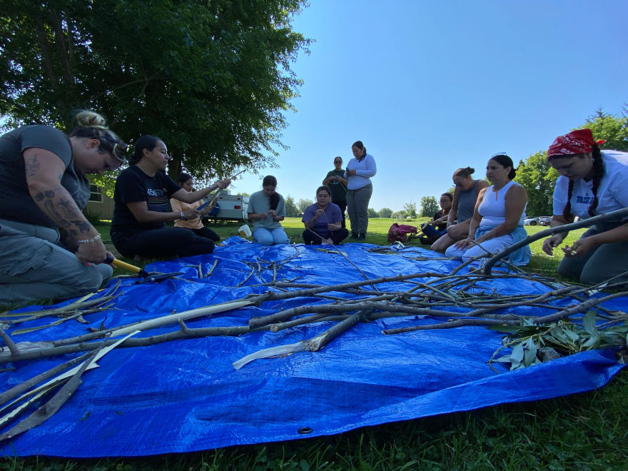 A group of women gather around a tarp and begin stripping bark off white willow branches. The bark will be turned into a liniment.