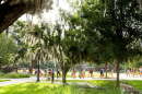 Photo from the University of Florida campus in Gainesville, Florida.