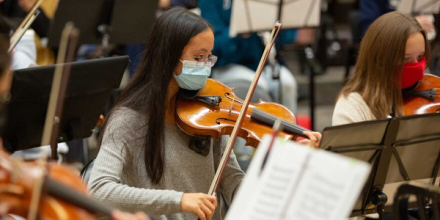 The Springfield Symphony Youth Orchestra 