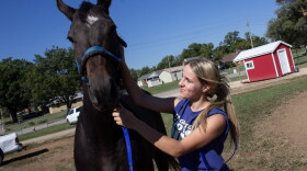 Cady Stortzum looks after her horse E.L.'s Legacy at the Eureka Downs horse racing track. She will race four horses at the re-opened track this month.