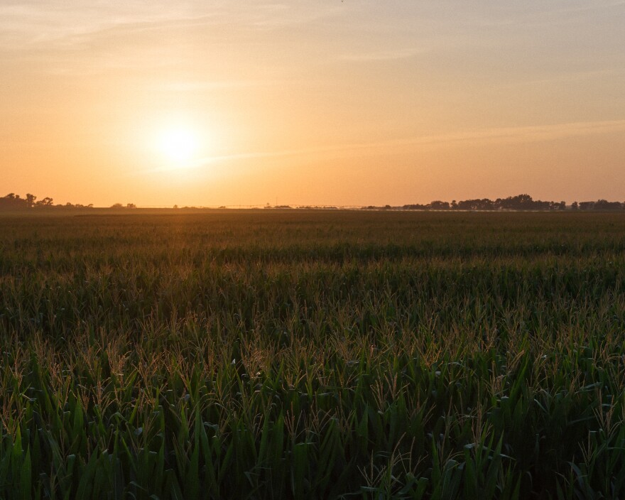 Cruz Urias Beltran went missing in the cornfields near Grand Island, Neb., on a day when the temperature — with humidity — felt like 100 degrees.