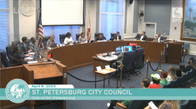 Overview of the St. Petersburg City Council sitting down with a row of people in the crowd. 
