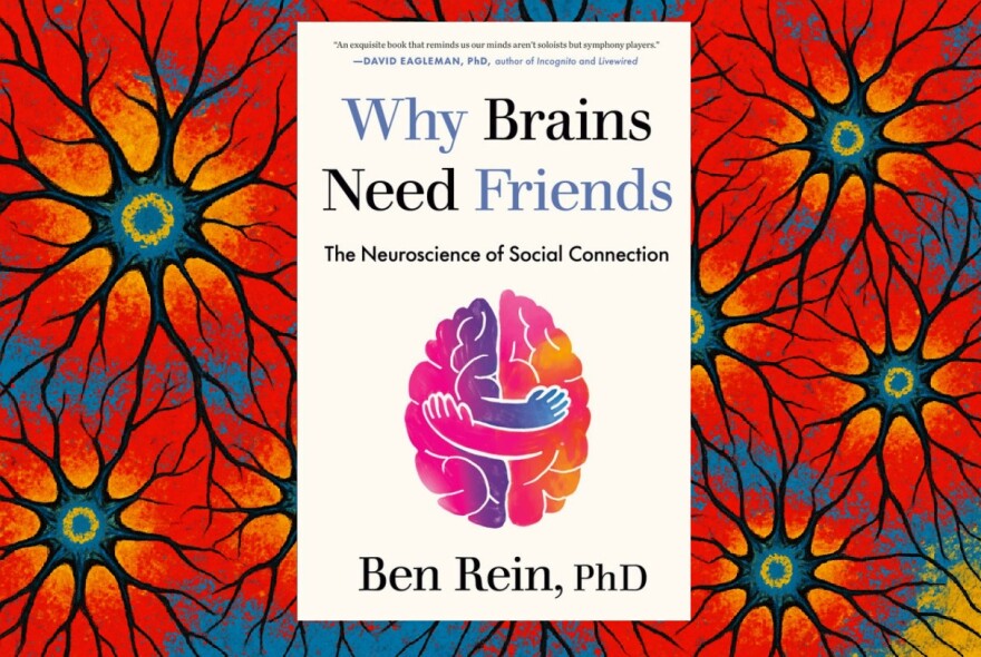 Why Brains Need Friends