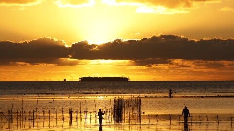 In this Wednesday, June 4, 2014 photo, fisher folk work on in shallow waters, near Nuku'alofa, Tonga. 
