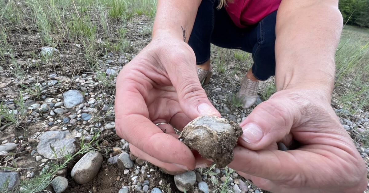 Finding Hope at Rock Bottom