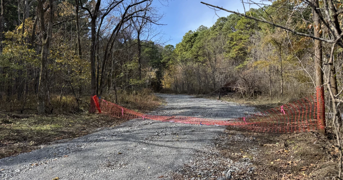 How the Trump administration is fast-tracking logging in Illinois’ only national forest