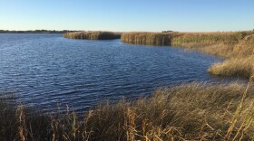 Marshes at Back Bay National Wildlife Refuge in Virginia Beach. These types of wetlands store carbon dioxide and will be restored using the new EPA grant.