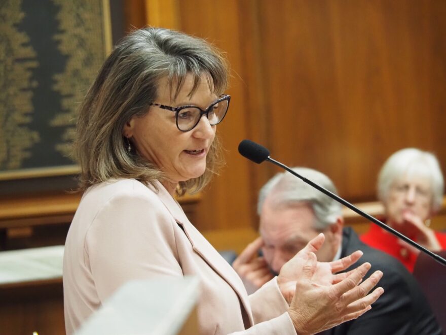 Rep. Wendy Dant Chesser, D-Jeffersonville, holds one of the Democratic priority seats for the 2026 campaign.