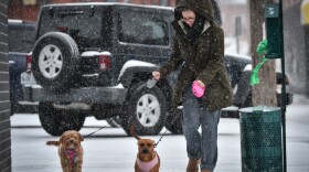 A woman wearing a hooded, heavy coat holds two small dogs on leashes. It's snowing and she is walking on a snow-covered sidewalk with the dogs with a parked car that can be seen behind her