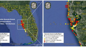 Statewide Karenia brevis concentrations map from July 13, 2021 to July 20, 2021. Clusters of red dots in Northwest Florida indicate high concentrations. 