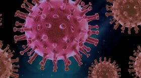 The Ohio Department of Health says as many as 4,000 COVID-19 deaths may have been underreported through the state’s reporting system, and those will now be added to the state’s tally during the coming week. 