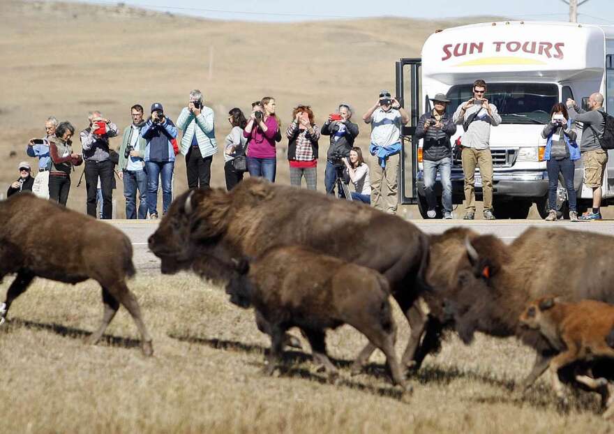 People came from as far away as South Africa, Russia and Iran to learn about ways countries can work together to manage wildlife, rivers, reefs and landscapes. Representatives of nearly 30 international projects across 70 countries and indigenous territor