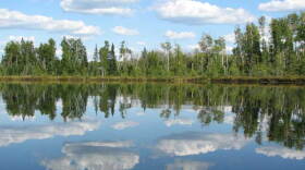 Clouds in the blue sky and trees reflect on water