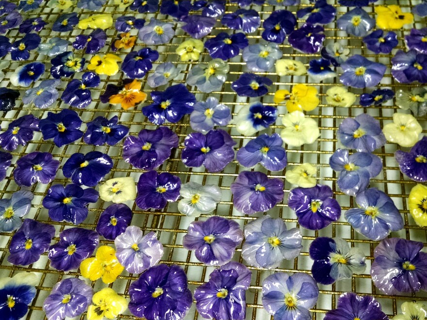 Violas grown on John Clemons' farm are crystallized and glazed. Clemons patented the process to keep the flowers from spoiling.