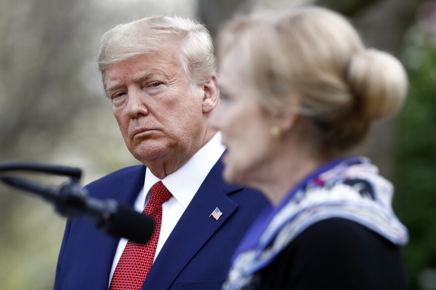 President Trump listens as Dr. Deborah Birx, White House coronavirus response coordinator, speaks during a coronavirus task force briefing in the Rose Garden of the White House on Sunday.