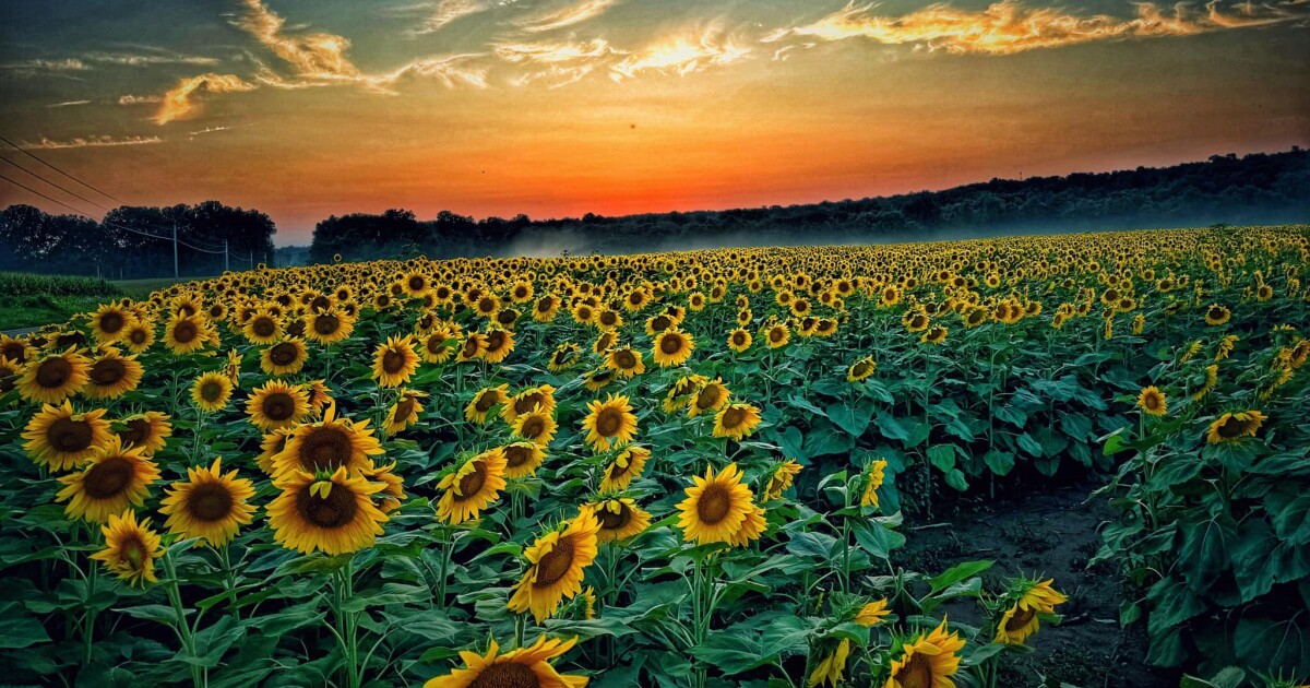 Development and keeping the rural feel of central Ohio