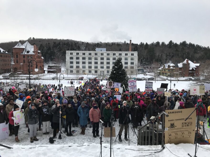 A wide shot view of the crowd gathered at the Women's March Vermont, with snow on the ground, taken from the Vermont Statehouse steps.