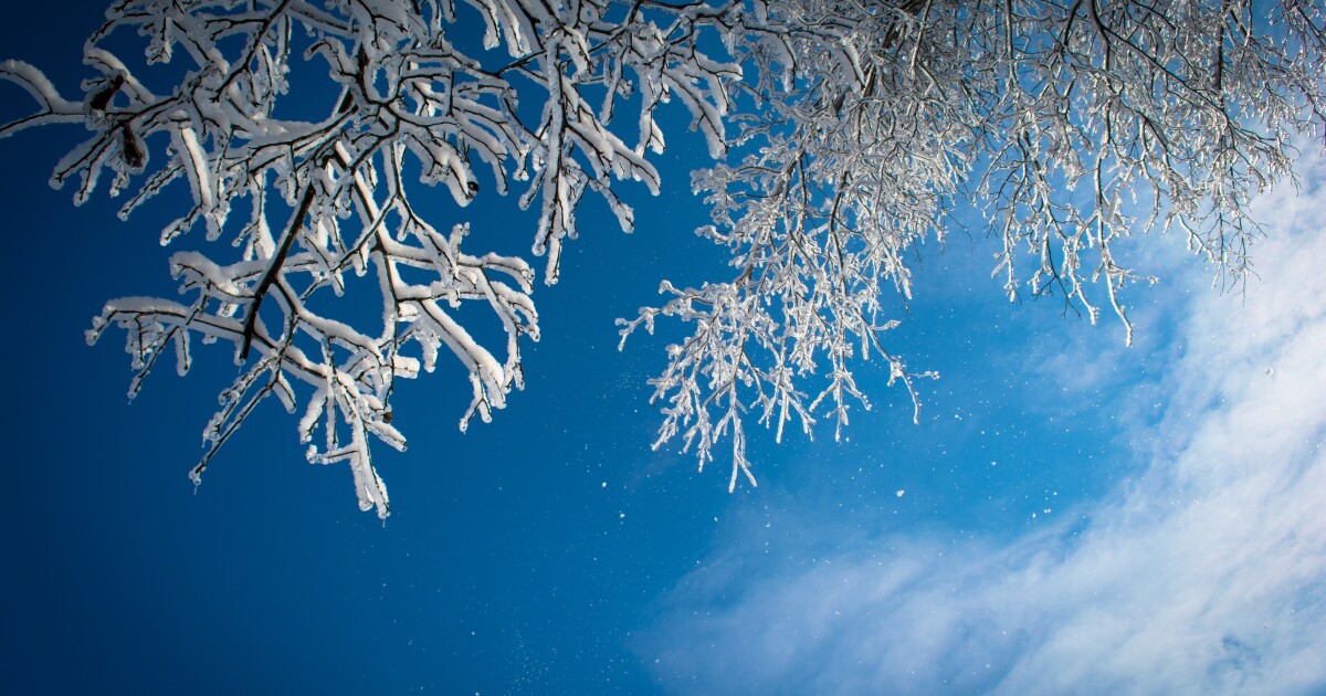 Michigan’s Snowy Winter Boosts Tourism, Rescues Ski Resorts Michigan’s Snowy Winter Boosts Tourism, Rescues Ski Resorts