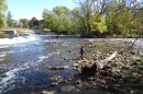 Anglers enjoying the Milwaukee River on an October morning
