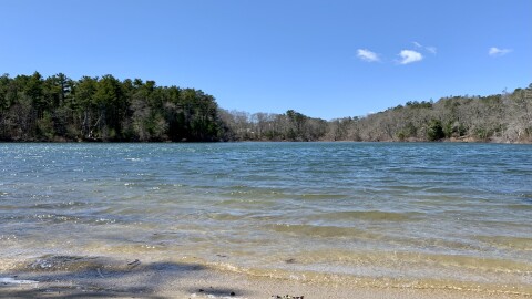 A pond on Cape Cod. PFAS was found in six watersheds in the region.